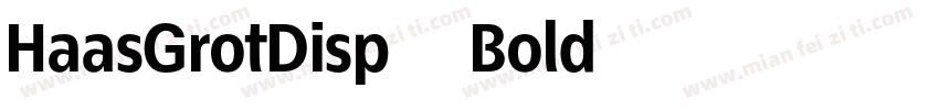 HaasGrotDisp 75Bold字体转换